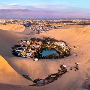 Full Day Paracas – Huacachina